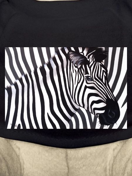 Poster Zebra 90x60 landscape