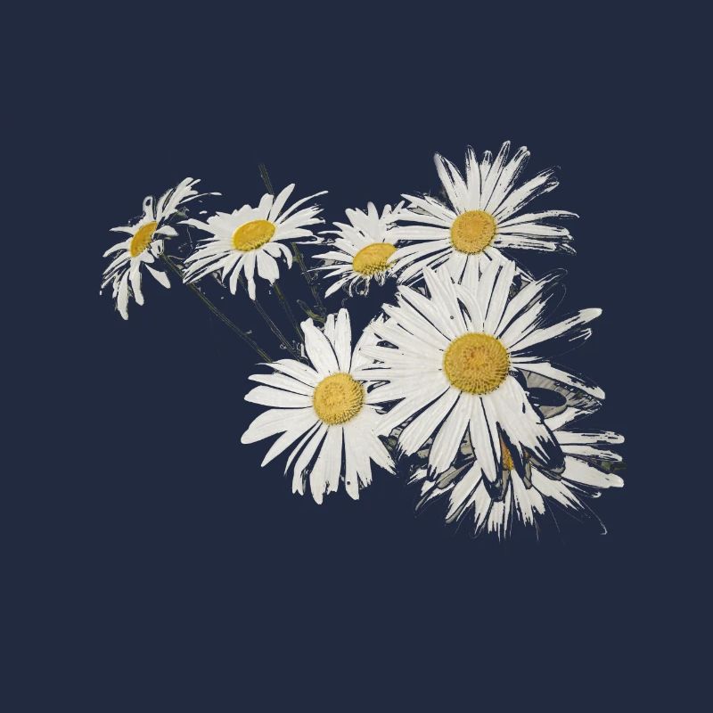 Hintergrund mit Gänseblümchenblumen