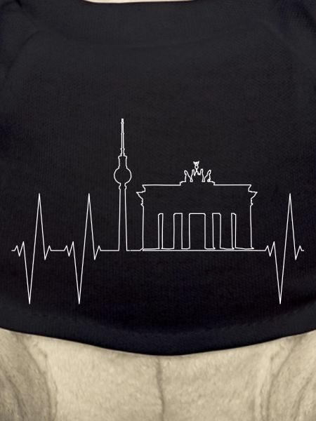 Skyline de Berlin