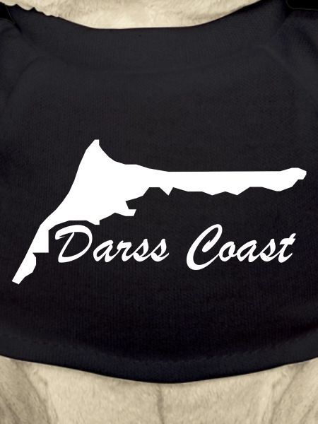 Darss Coast - Darss Peninsula
