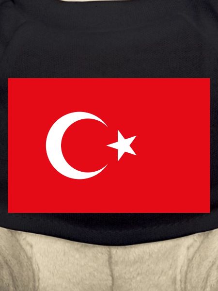 Drapeau turc