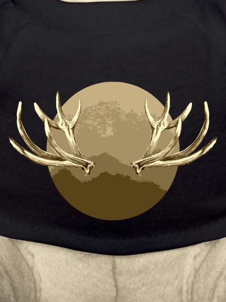 Horns