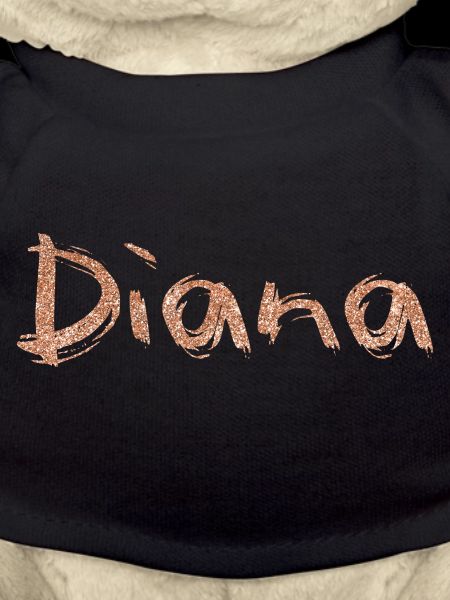 Name lettering Diana