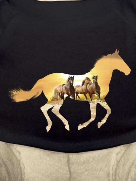 Pferd in der Dämmerung