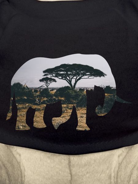 Elephant Savannah Silhouette