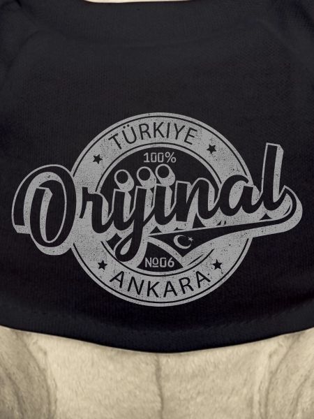 Ankara