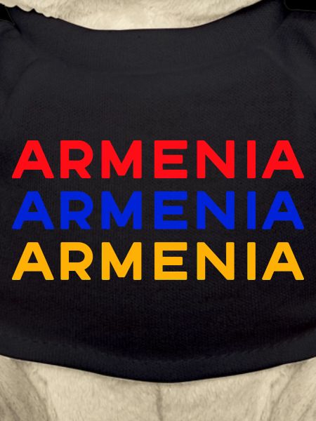 Armenia Lettering Flag