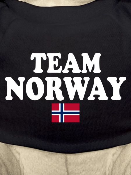 Team norway