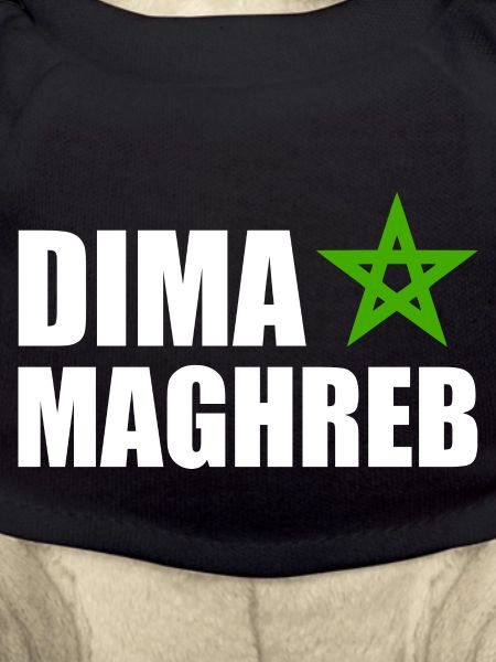 Dima maghreb - morocco