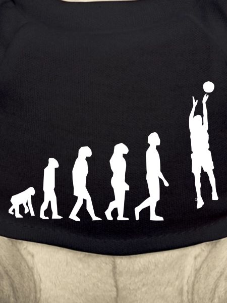 Basketball evolution