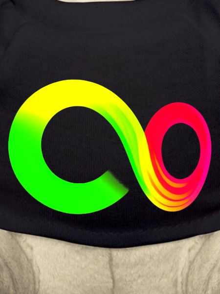 Rainbow Course Symbole infini infini