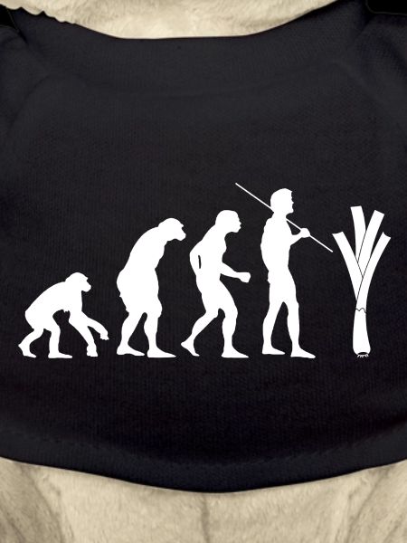 évolution du poireau (blanc)