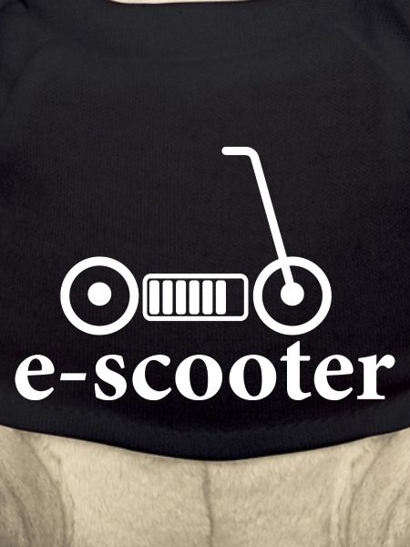 E-Scooter E-Roller Scooter