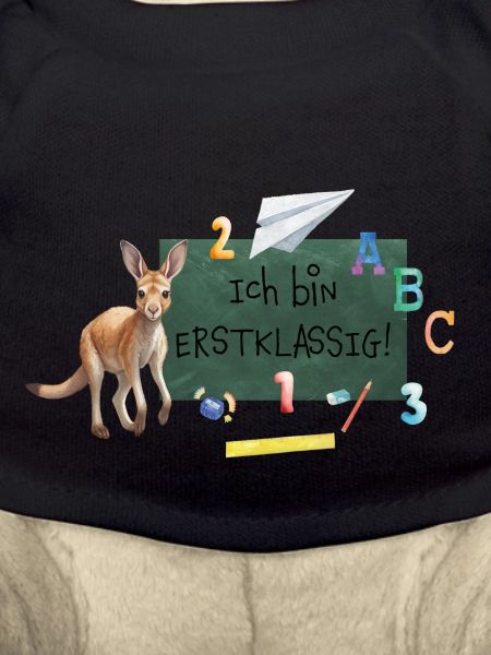 Ich bin Erstklassig!