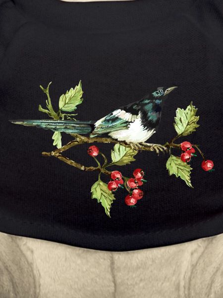 Bunter Vogel
