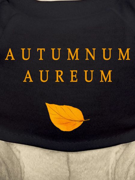 autumnum aureum