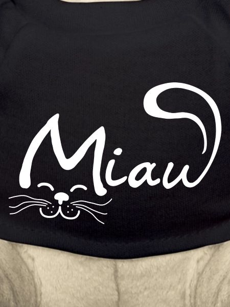 Miau Katze