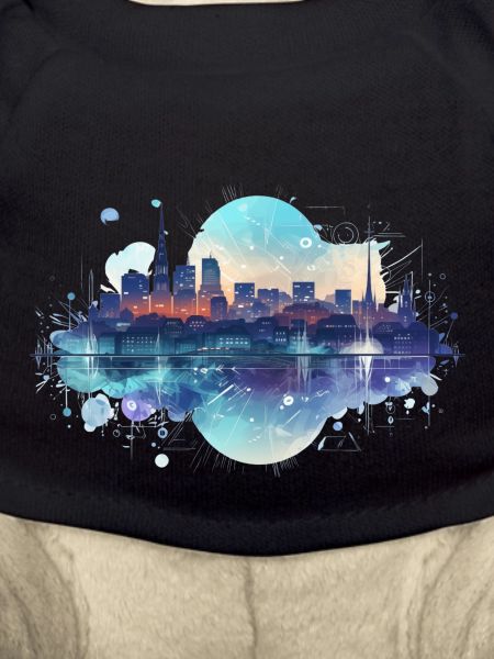Digital City