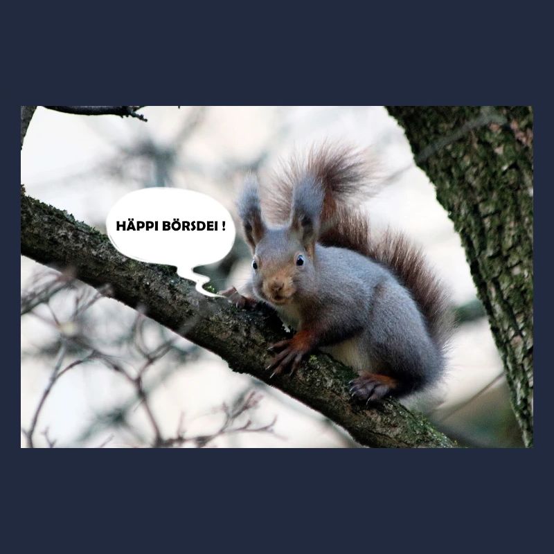 Eichhörnchen, Isibat