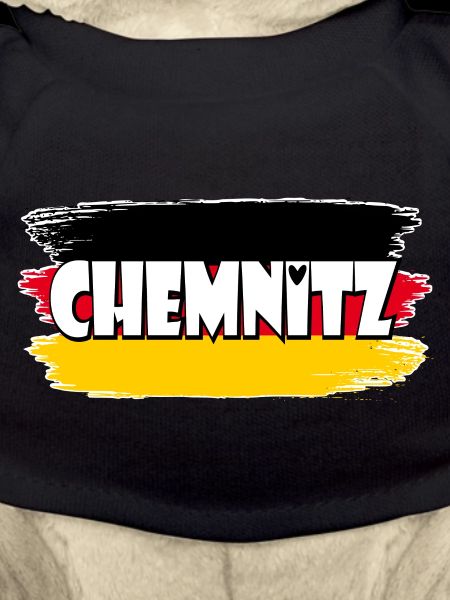 Flag: Chemnitz, Germany