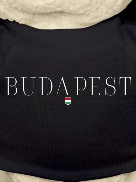 I love Budapest