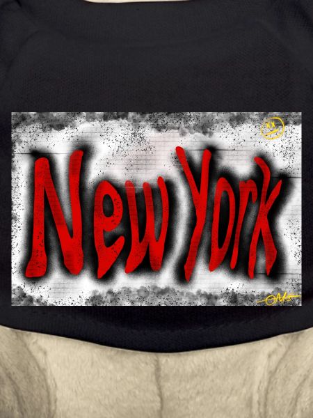 New Yorker Straßenkunst