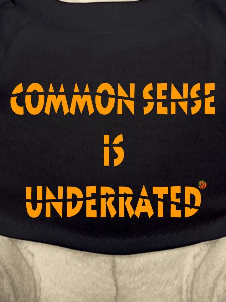 Common sense is underrated