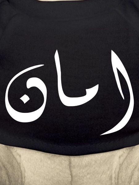 Aman in Arabic - security