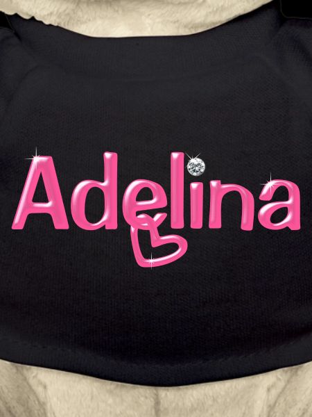 Adelina Name Balloon Font