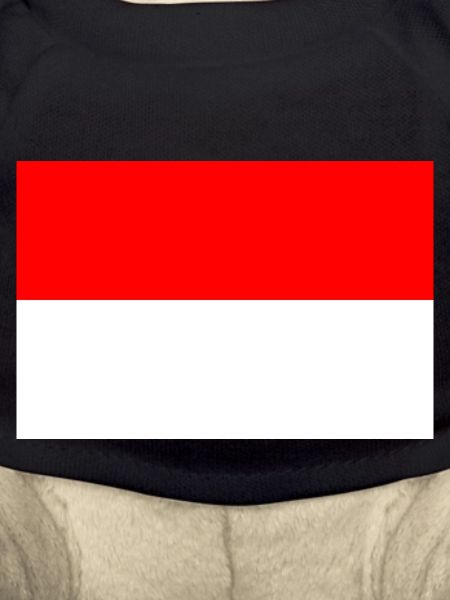 Indonesia