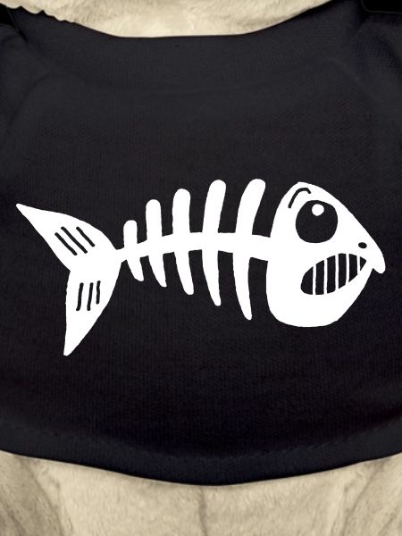 Squelette de poisson