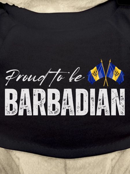 Barbadian Pride, Barbados Flag