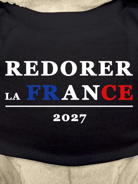 RESTORING FRANCE 2