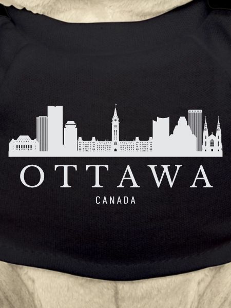 Ottawa Skyline, Ottawa Canada