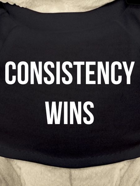 CONSISTENCY WINS. | Greyline Official