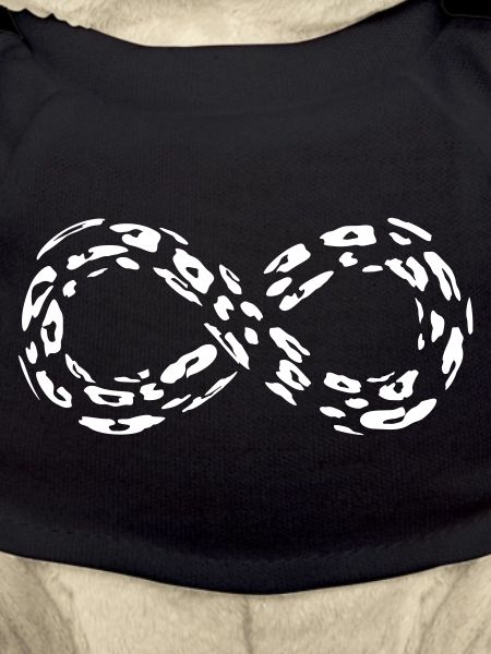 Leopard Infinity Loop