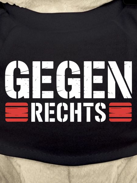 Gegen Rechts - Funny Antifa Spruch