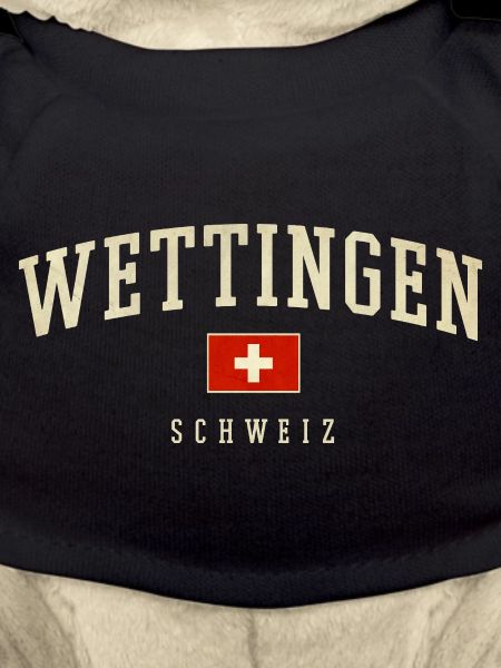 Wettingen Switzerland Banner