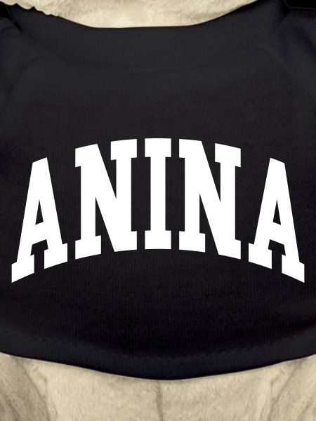 Anina