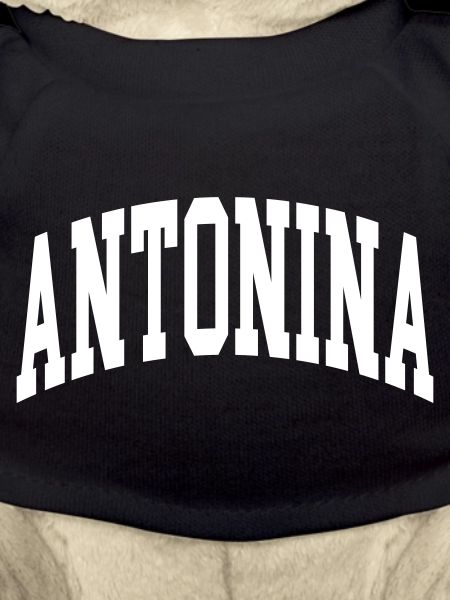 Antonina