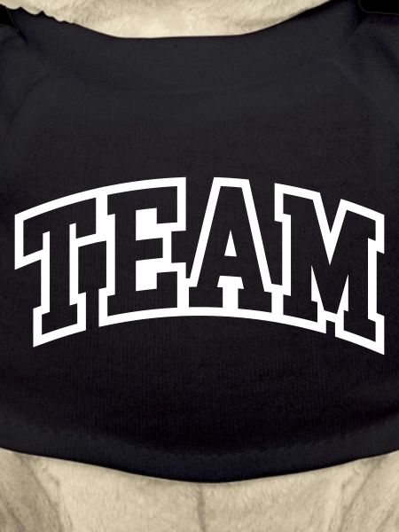 Team Schriftzug