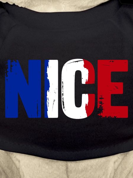 Nice Frankreich Nizza
