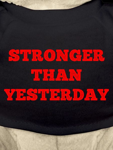 tronger Shirt