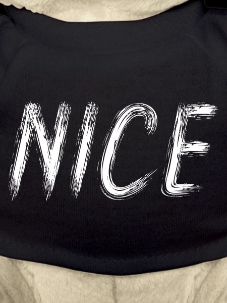 NICE im weißen Pinsel