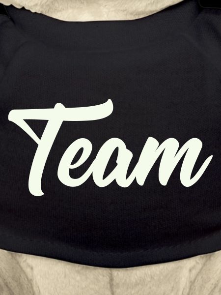 team