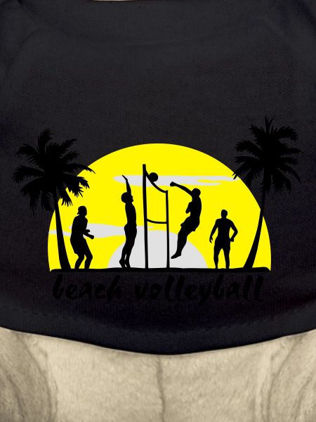 beach volleyball