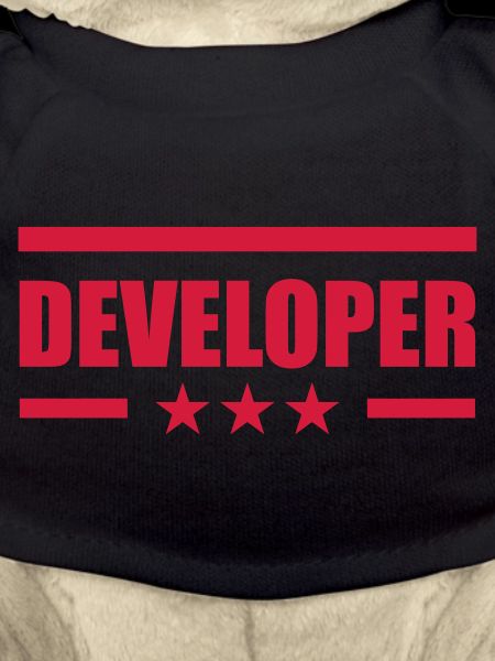 Developer