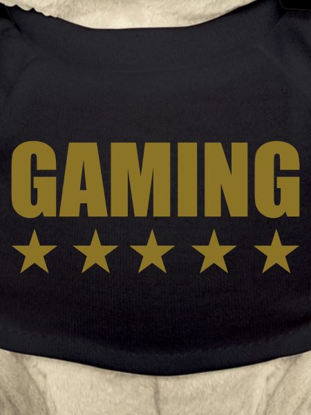 Gamer / Gaming