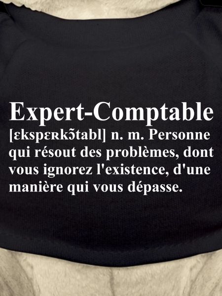 Expert-Comptable Définition