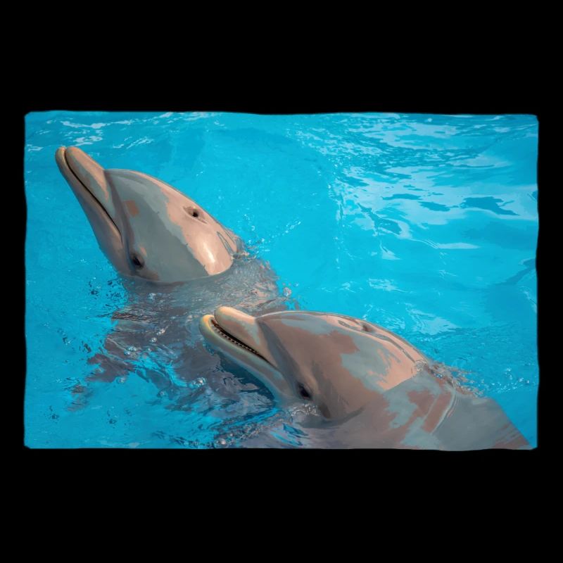 Dolphins